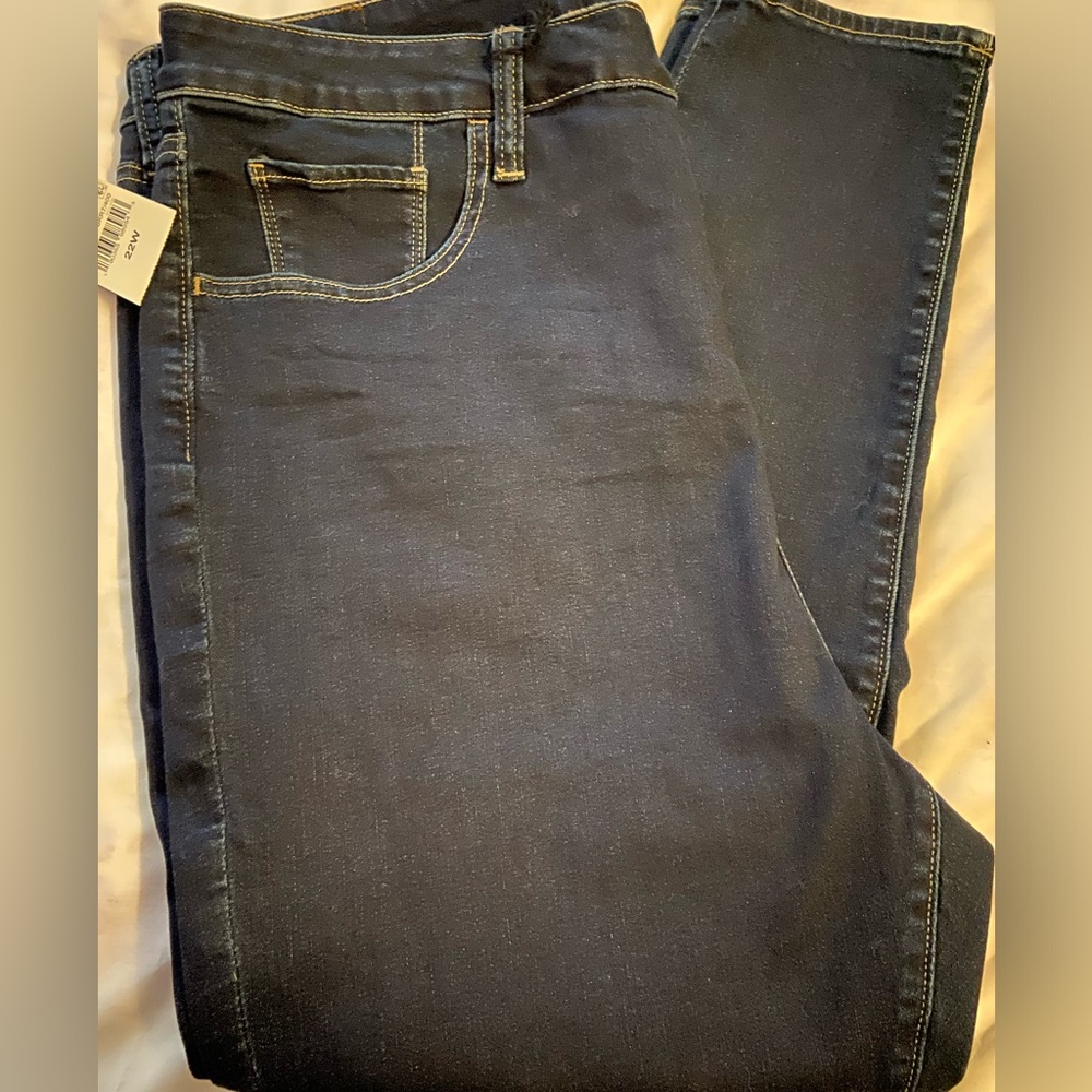 Women’s Lucky Brand Plus Size Blue Skinny Jeans 22Wx26 NWT